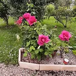 Bed & Breakfast La Mirabelle