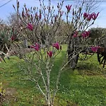 La Mirabelle Montazeau