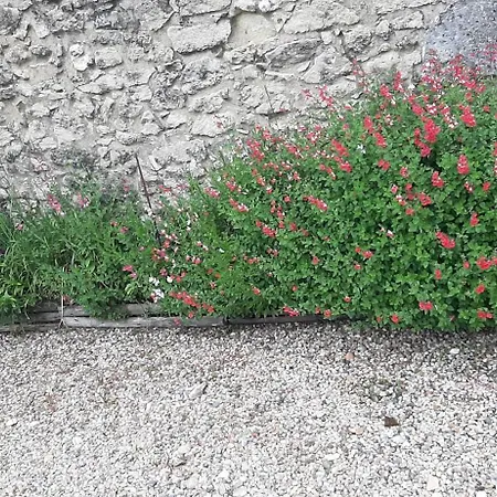 La Mirabelle Oda ve Kahvaltı