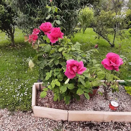 B&B La Mirabelle