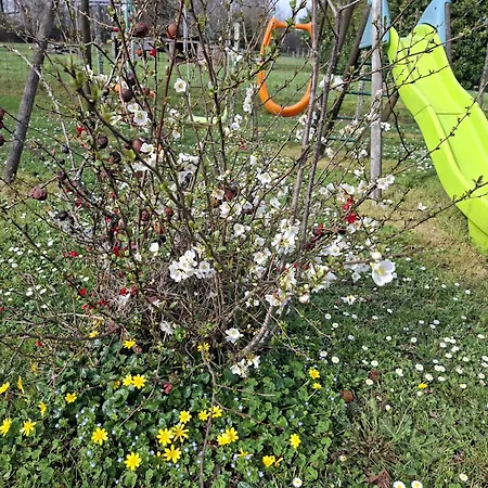 La Mirabelle Frühstückspension