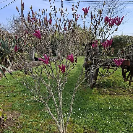 La Mirabelle Montazeau