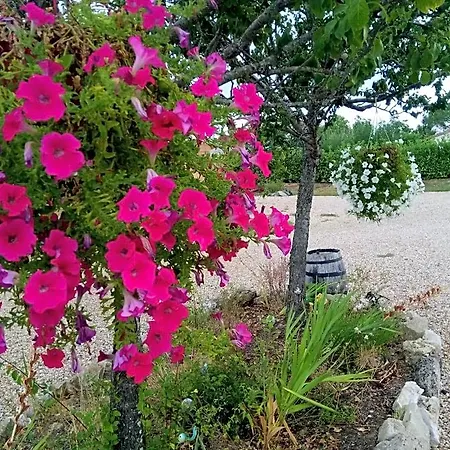 La Mirabelle Panzió 3*