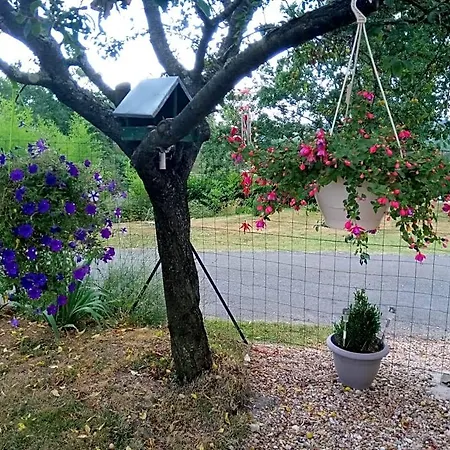 La Mirabelle 3*