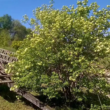 B&B La Mirabelle