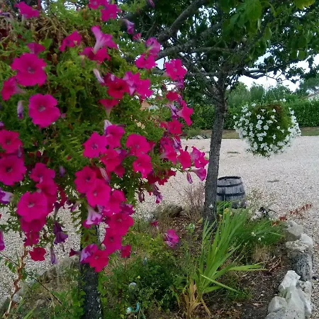 La Mirabelle Bed & Breakfast Montazeau