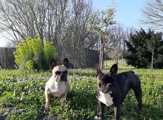 La Mirabelle Bed & Breakfast 3*