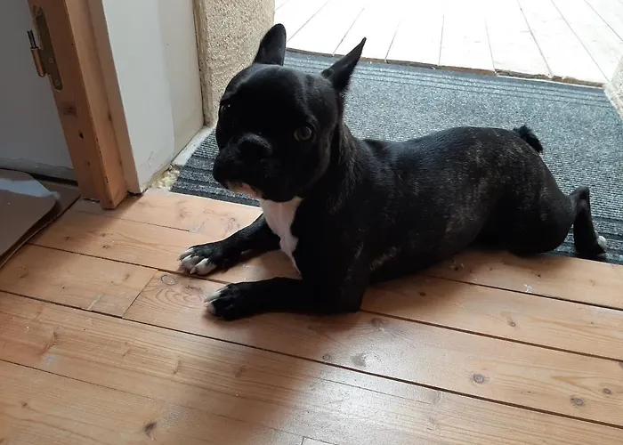 La Mirabelle Bed & Breakfast 3*