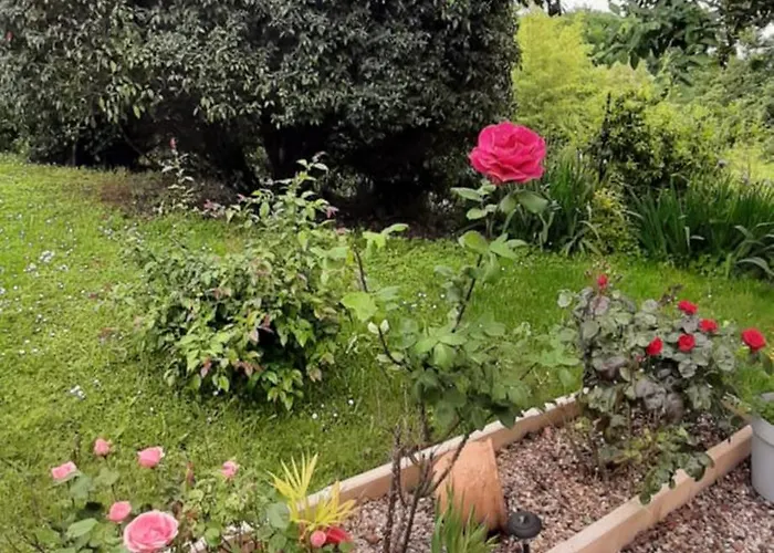 La Mirabelle Bed & Breakfast Montazeau