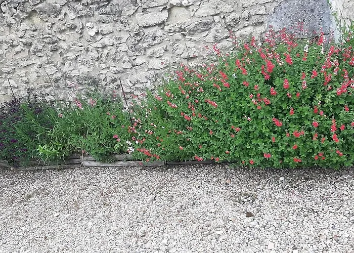 La Mirabelle Bed & Breakfast