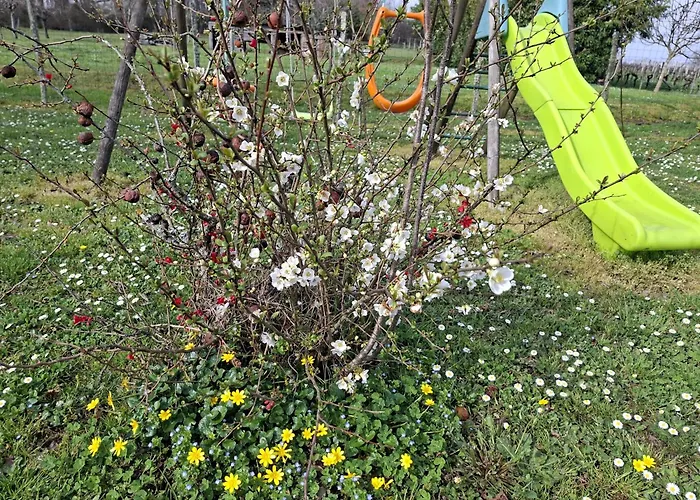 La Mirabelle Bed & Breakfast