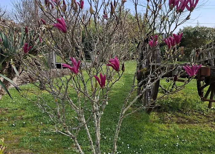 La Mirabelle Montazeau