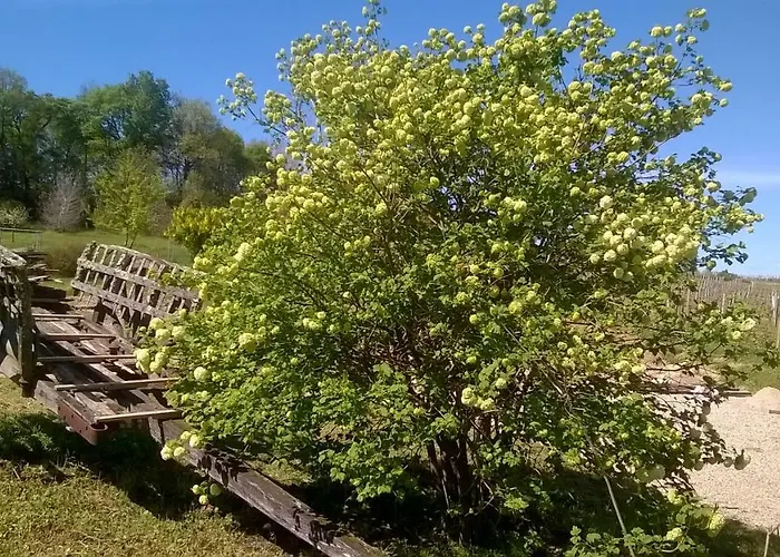 Bed & Breakfast La Mirabelle