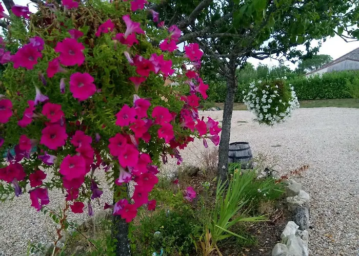 La Mirabelle Bed & Breakfast Montazeau