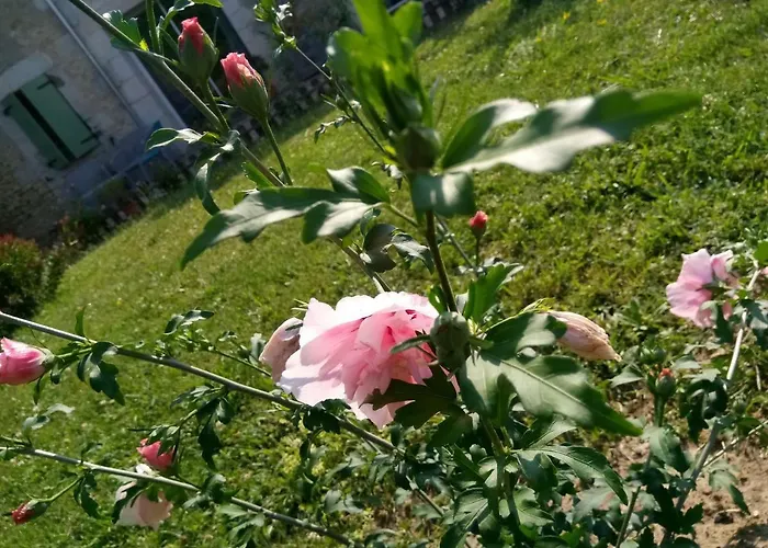 La Mirabelle Bed & Breakfast